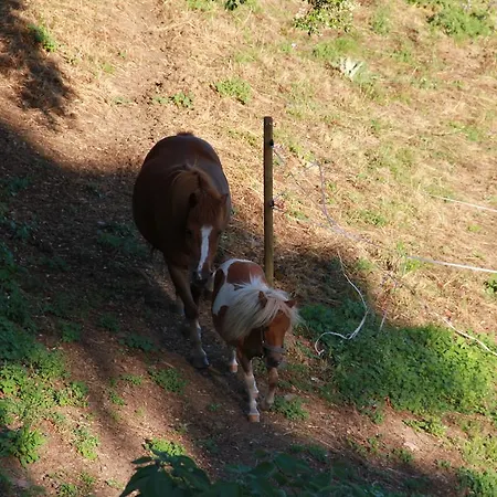 Domaine De Gleyre